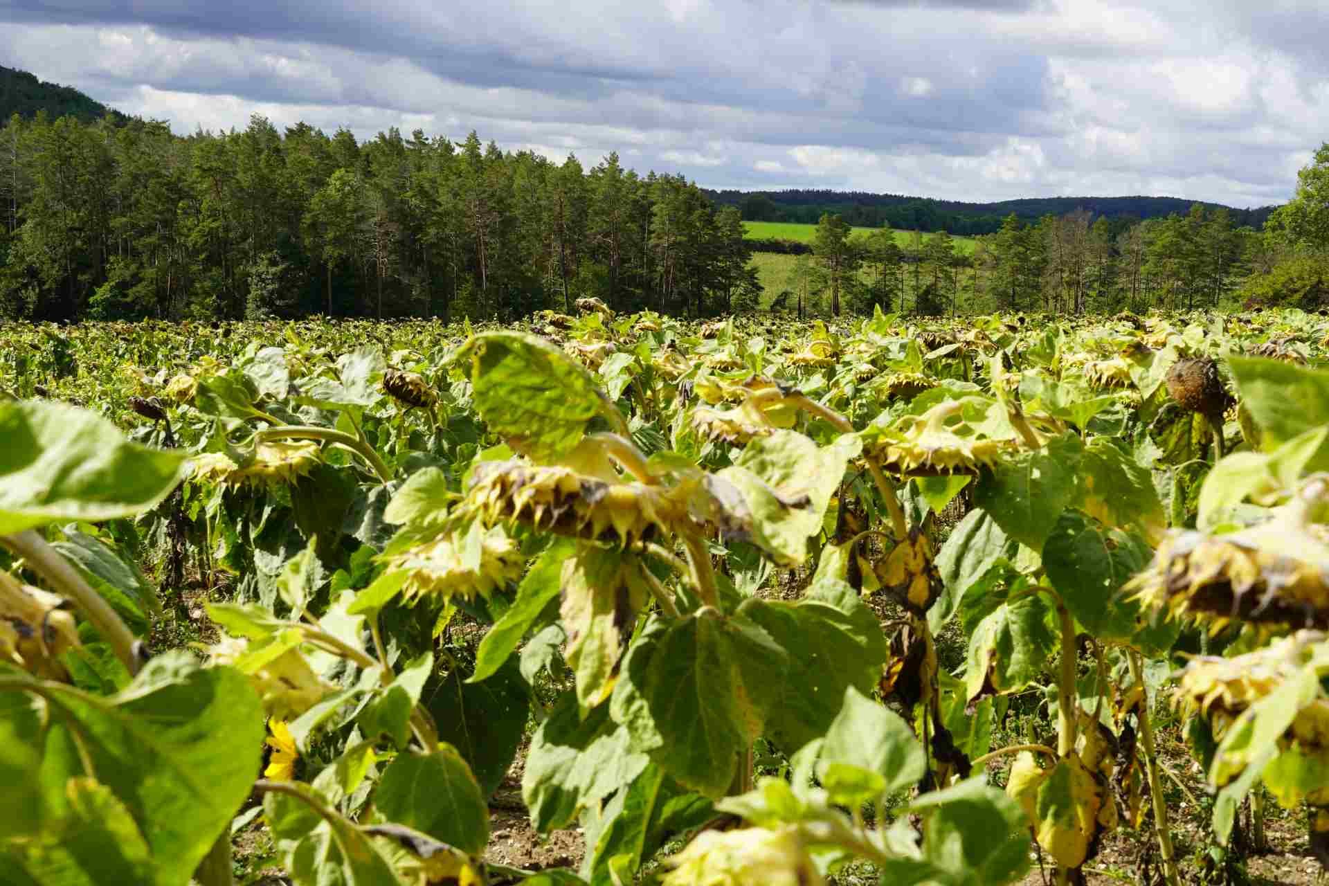 3 Tages Wanderung  in der fränkischen Schweiz